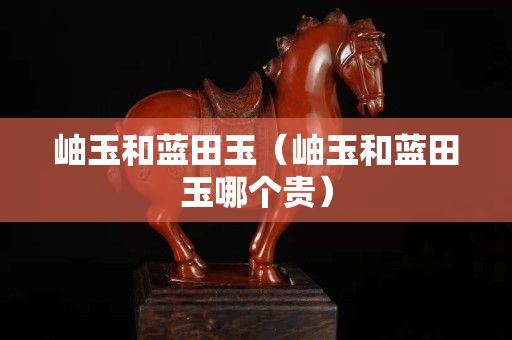 岫玉和藍田玉(岫玉和藍田玉哪個貴) 岫玉和藍田玉(岫玉和藍田玉哪個貴)