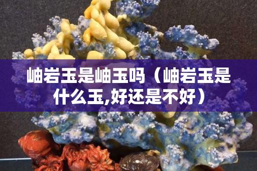 岫巖玉是岫玉嗎（岫巖玉是什么玉,好還是不好）