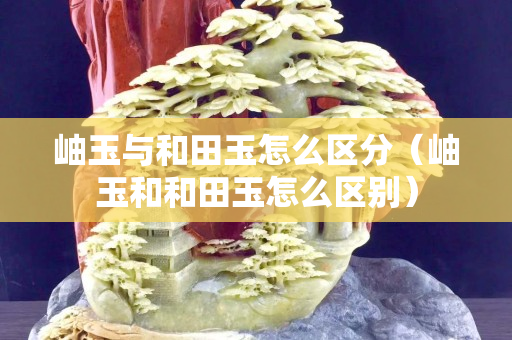 岫玉與和田玉怎么區(qū)分（岫玉和和田玉怎么區(qū)別）