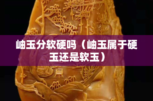 岫玉分軟硬嗎（岫玉屬于硬玉還是軟玉）