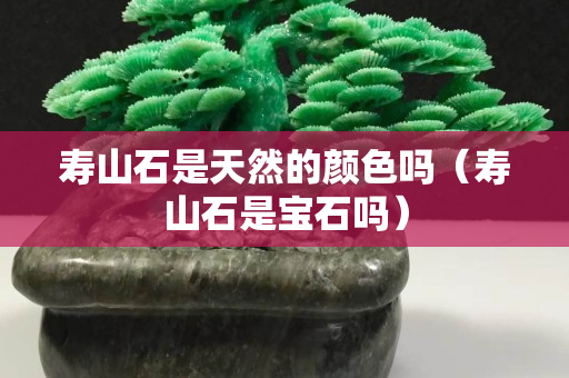 壽山石是天然的顏色嗎(壽山石是寶石嗎) 壽山石是天然的顏色嗎(壽山石是寶石嗎)