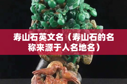 壽山石英文名（壽山石的名稱來源于人名地名）