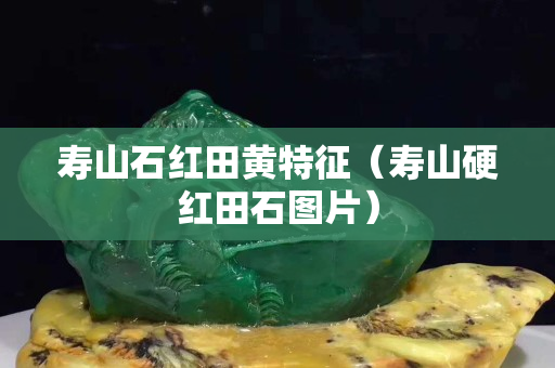 壽山石紅田黃特征(壽山硬紅田石圖片) 壽山石紅田黃特征(壽山硬紅田石圖片)