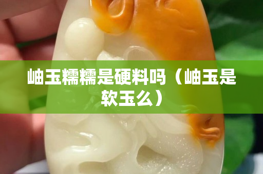 岫玉糯糯是硬料嗎（岫玉是軟玉么）