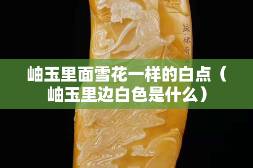 岫玉里面雪花一樣的白點(岫玉里邊白色是什么) 岫玉里面雪花一樣的白點(岫玉里邊白色是什么)