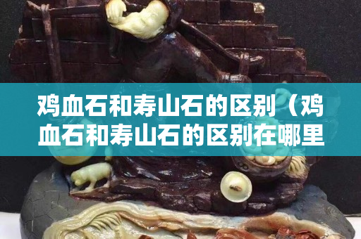 雞血石和壽山石的區別（雞血石和壽山石的區別在哪里）