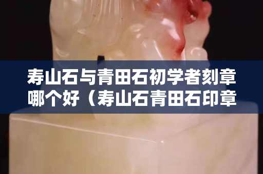 壽山石與青田石初學者刻章哪個好（壽山石青田石印章區別）