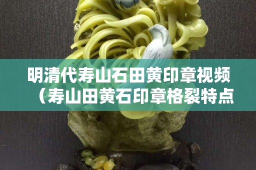 明清代壽山石田黃印章視頻（壽山田黃石印章格裂特點）