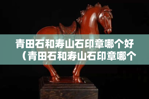 青田石和壽山石印章哪個好(青田石和壽山石印章哪個好看) 青田石和壽山石印章哪個好(青田石和壽山石印章哪個好看)