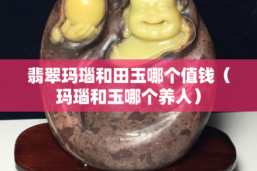 翡翠瑪瑙和田玉哪個值錢（瑪瑙和玉哪個養人）