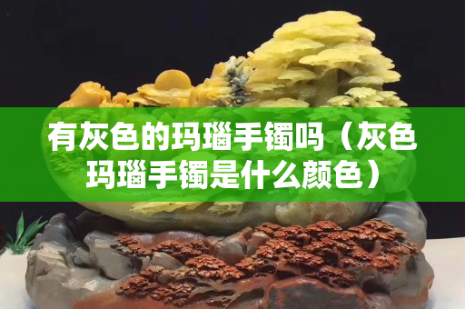 有灰色的瑪瑙手鐲嗎（灰色瑪瑙手鐲是什么顏色）