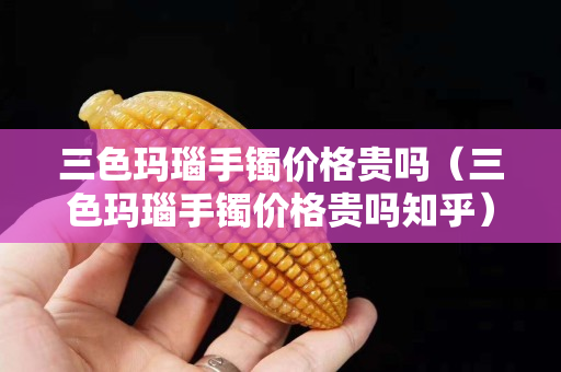 三色瑪瑙手鐲價格貴嗎（三色瑪瑙手鐲價格貴嗎知乎）