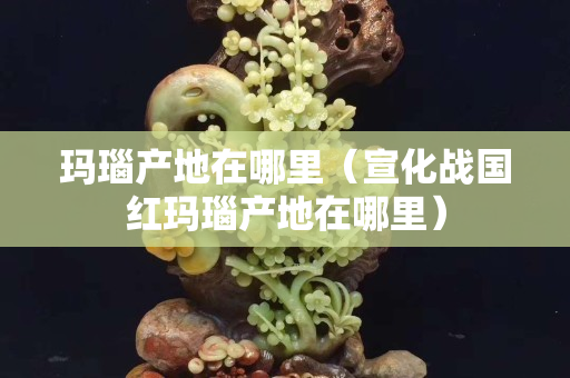 瑪瑙產地在哪里（宣化戰國紅瑪瑙產地在哪里）