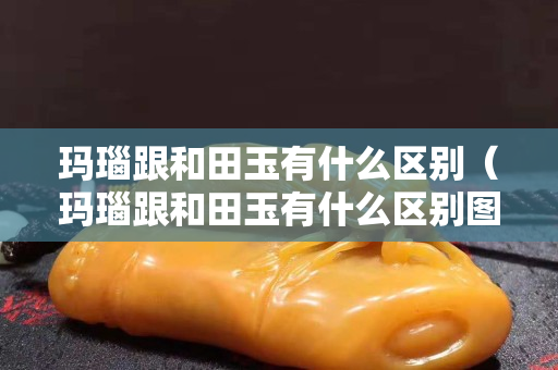 瑪瑙跟和田玉有什么區別(瑪瑙跟和田玉有什么區別圖片) 瑪瑙跟和田玉有什么區別(瑪瑙跟和田玉有什么區別圖片)
