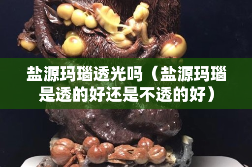 鹽源瑪瑙透光嗎（鹽源瑪瑙是透的好還是不透的好）