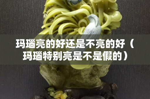 瑪瑙亮的好還是不亮的好（瑪瑙特別亮是不是假的）