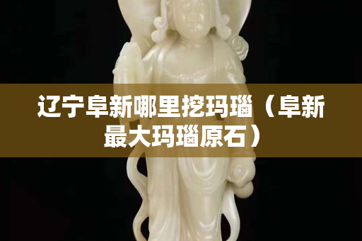 遼寧阜新哪里挖瑪瑙（阜新最大瑪瑙原石）