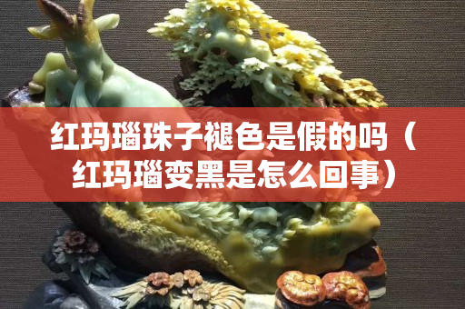 紅瑪瑙珠子褪色是假的嗎（紅瑪瑙變黑是怎么回事）