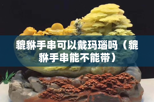 貔貅手串可以戴瑪瑙嗎（貔貅手串能不能帶）