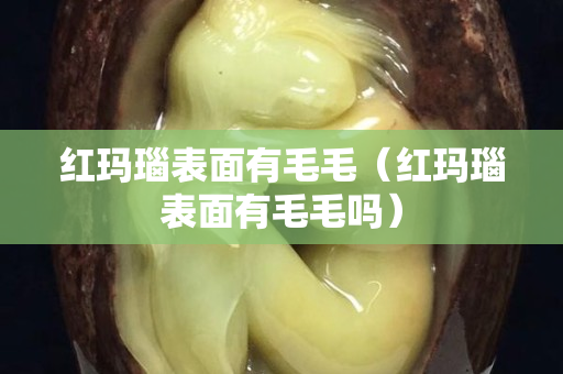 紅瑪瑙表面有毛毛(紅瑪瑙表面有毛毛嗎) 紅瑪瑙表面有毛毛(紅瑪瑙表面有毛毛嗎)