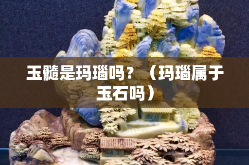 玉髓是瑪瑙嗎?(瑪瑙屬于玉石嗎) 玉髓是瑪瑙嗎?(瑪瑙屬于玉石嗎)