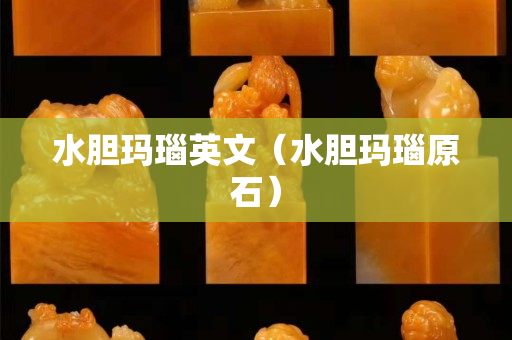 水膽瑪瑙英文（水膽瑪瑙原石）