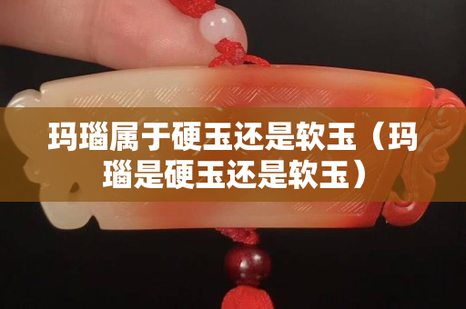 瑪瑙屬于硬玉還是軟玉(瑪瑙是硬玉還是軟玉) 瑪瑙屬于硬玉還是軟玉(瑪瑙是硬玉還是軟玉)