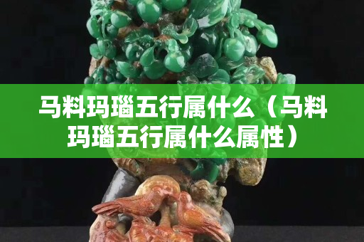馬料瑪瑙五行屬什么（馬料瑪瑙五行屬什么屬性）