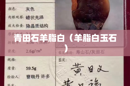 青田石羊脂白(羊脂白玉石) 青田石羊脂白(羊脂白玉石)