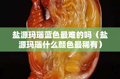 鹽源瑪瑙藍(lán)色最難的嗎（鹽源瑪瑙什么顏色最稀有）