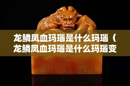 龍鱗鳳血瑪瑙是什么瑪瑙（龍鱗鳳血瑪瑙是什么瑪瑙變黑紋咋回事）