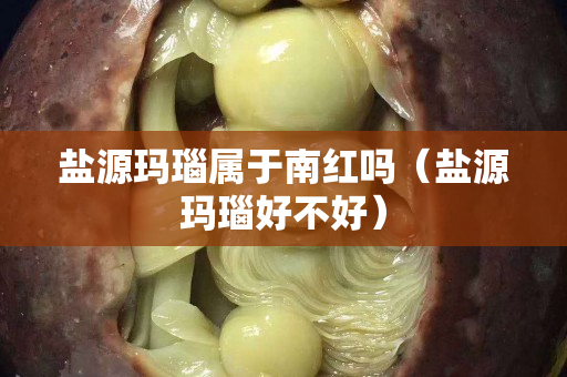 鹽源瑪瑙屬于南紅嗎（鹽源瑪瑙好不好）