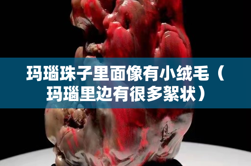 瑪瑙珠子里面像有小絨毛（瑪瑙里邊有很多絮狀）