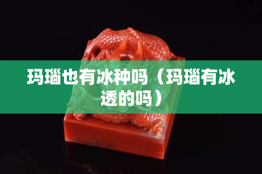 瑪瑙也有冰種嗎（瑪瑙有冰透的嗎）