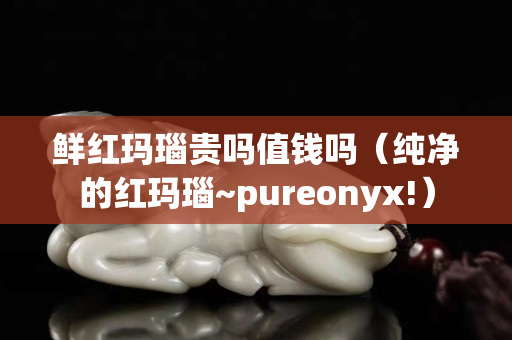 鮮紅瑪瑙貴嗎值錢嗎(純凈的紅瑪瑙~pureonyx!) 鮮紅瑪瑙貴嗎值錢嗎(純凈的紅瑪瑙~pureonyx!)
