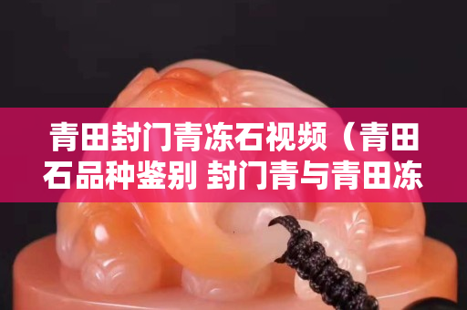 青田封門青凍石視頻（青田石品種鑒別 封門青與青田凍石）