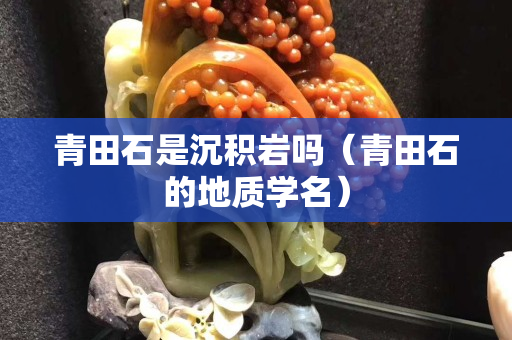 青田石是沉積巖嗎（青田石的地質學名）