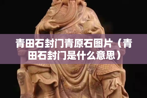 青田石封門青原石圖片（青田石封門是什么意思）