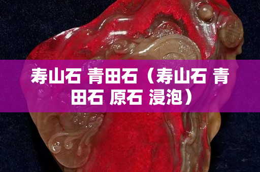 壽山石 青田石（壽山石 青田石 原石 浸泡）
