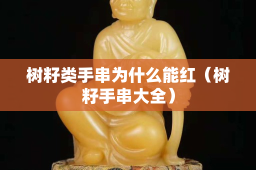 樹籽類手串為什么能紅（樹籽手串大全）