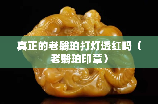 真正的老翳珀打燈透紅嗎（老翳珀印章）