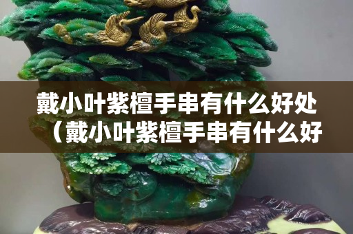 戴小葉紫檀手串有什么好處(戴小葉紫檀手串有什么好處和壞處) 戴小葉紫檀手串有什么好處(戴小葉紫檀手串有什么好處和壞處)