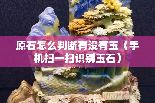 原石怎么判斷有沒有玉(手機掃一掃識別玉石) 原石怎么判斷有沒有玉(手機掃一掃識別玉石)