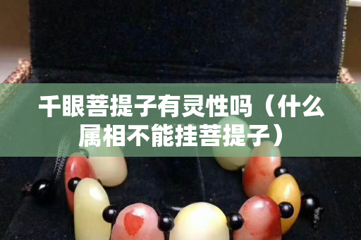 千眼菩提子有靈性嗎(什么屬相不能掛菩提子) 千眼菩提子有靈性嗎(什么屬相不能掛菩提子)