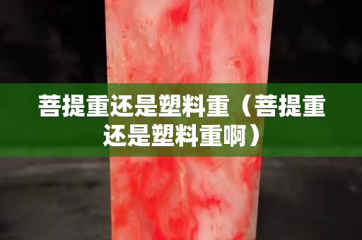 菩提重還是塑料重（菩提重還是塑料重?。? title=