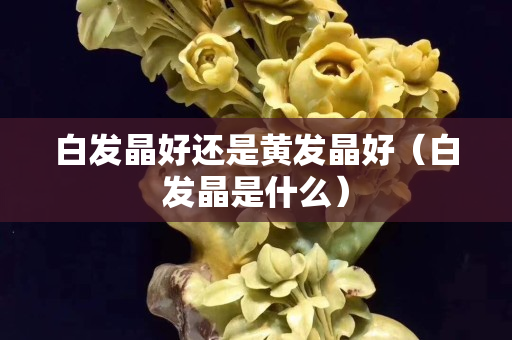 白發晶好還是黃發晶好(白發晶是什么) 白發晶好還是黃發晶好(白發晶是什么)