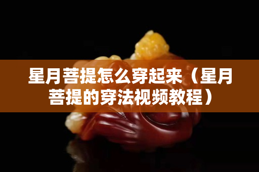 星月菩提怎么穿起來（星月菩提的穿法視頻教程）