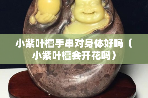 小紫葉檀手串對身體好嗎（小紫葉檀會開花嗎）