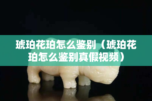 琥珀花珀怎么鑒別（琥珀花珀怎么鑒別真假視頻）