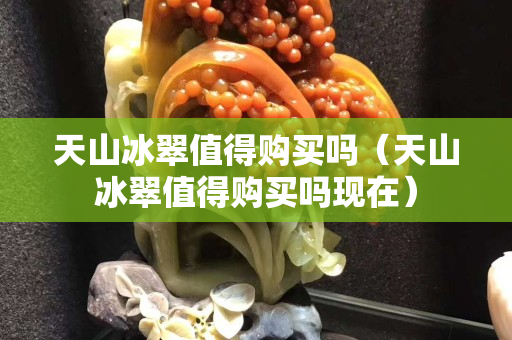 天山冰翠值得購買嗎（天山冰翠值得購買嗎現在）